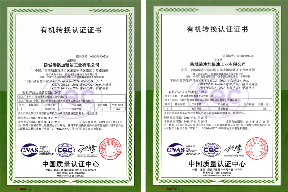 九龍桂山茶油