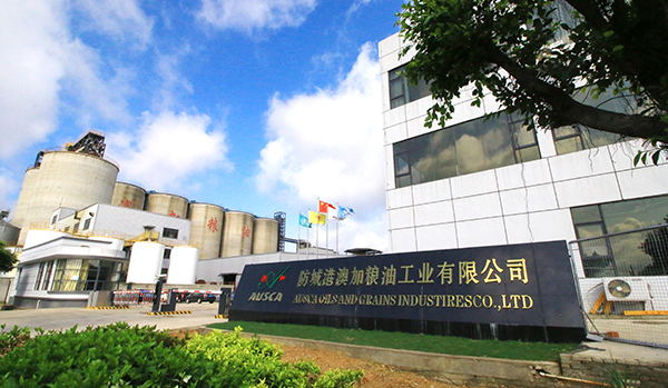 九龍桂山茶油