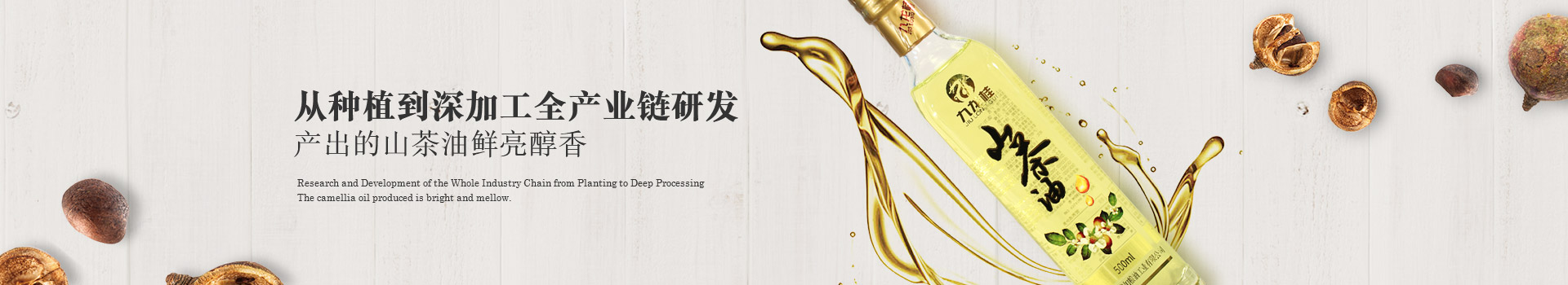 九龍桂山茶油
