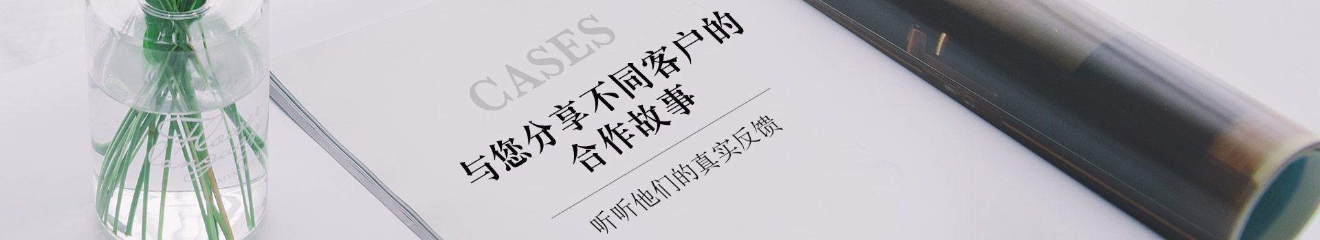 山茶油批發