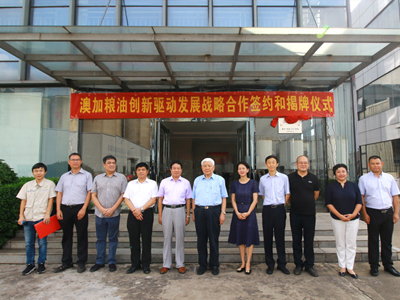 九龍桂山茶油舉辦“創新驅動發展戰略”簽約和揭牌儀式