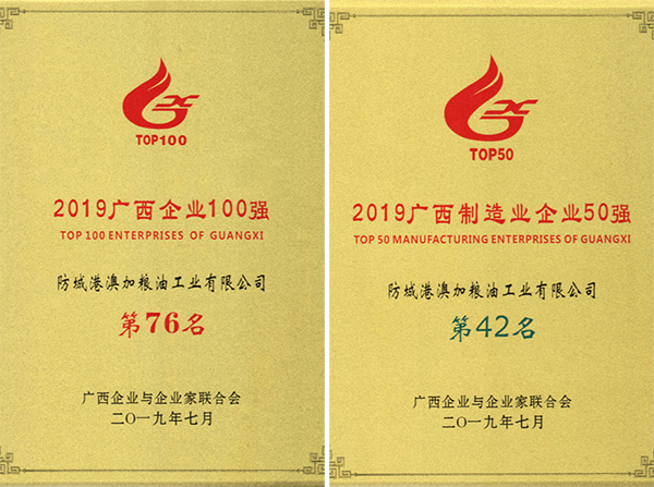 九龍桂山茶油證書
