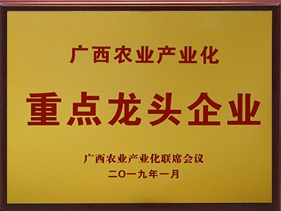 廣西農業(yè)產業(yè)化重點農業(yè)龍頭企業(yè)