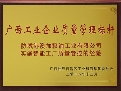 廣西工業(yè)企業(yè)質量管理標桿企業(yè)