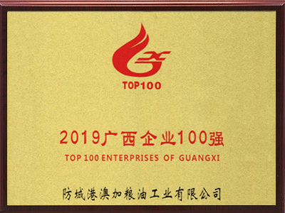 2019廣西企業(yè)100強