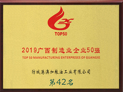 2019廣西制造業50強
