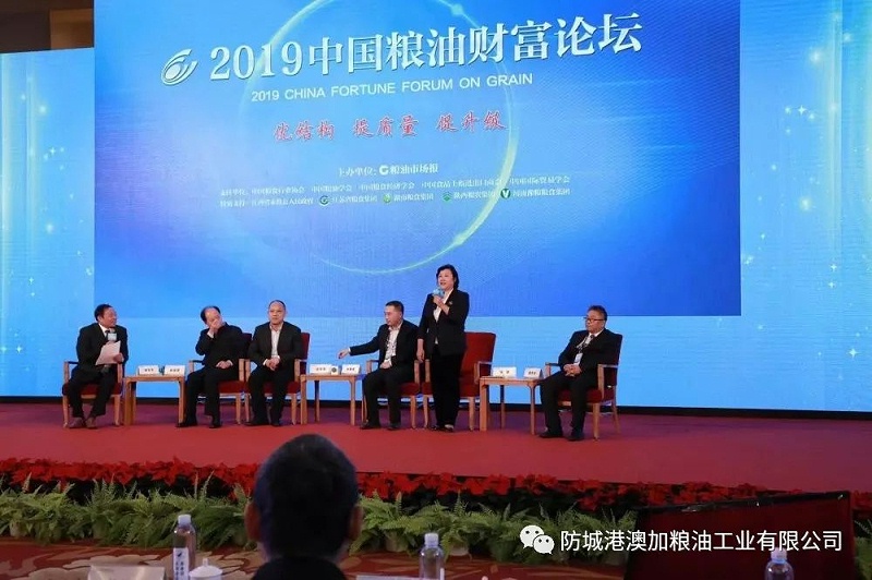九龍桂山茶油.