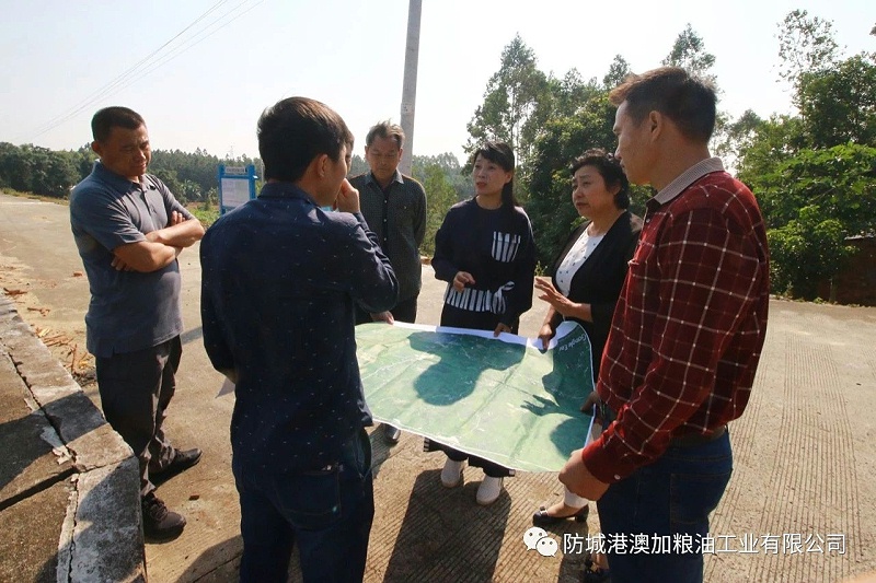九龍桂原香山茶油