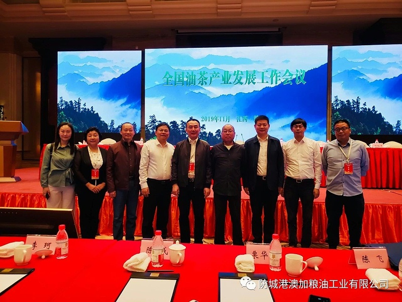 九龍桂山茶油.